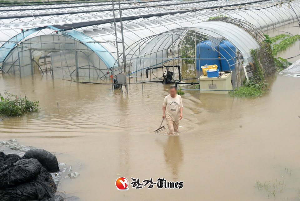 지난 7월15일 전북 완주군 삼례읍 빗물에 잠긴 비닐하우스 모습 (사진=뉴시스)