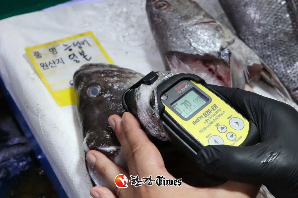 서울 동작구 노량진 수산시장에서 관계자가 일본산 수산물에 대해 방사능 검사를 하고 있다. (사진=뉴시스)