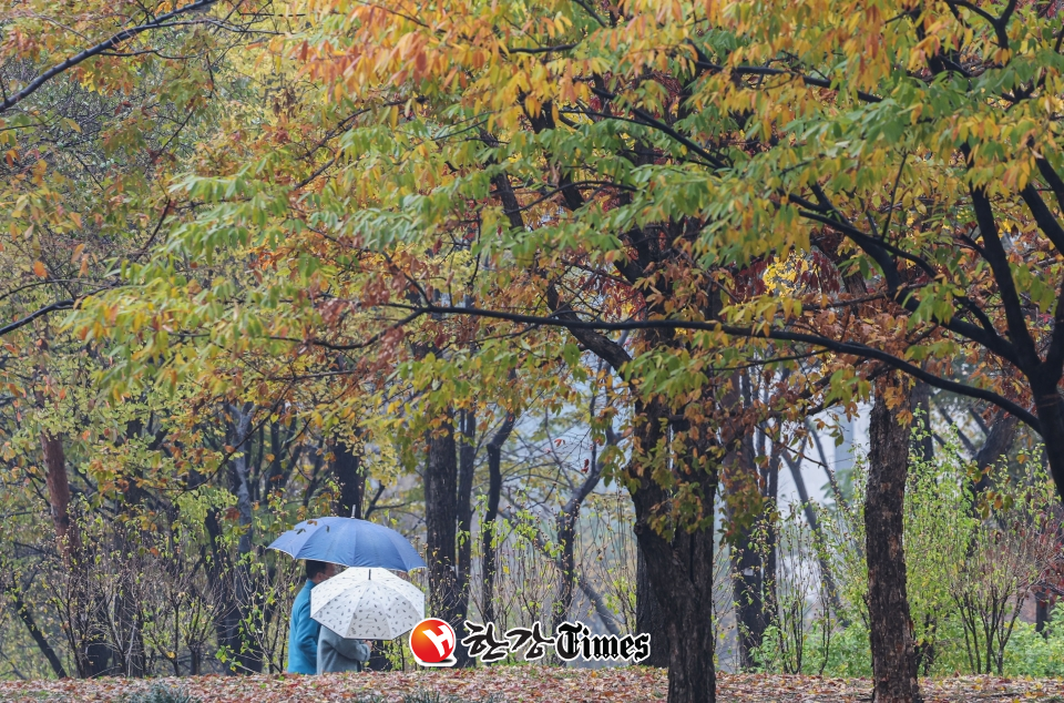 가을비가 내리는 지난 16일 오후 서울 여의도공원에서 시민들이 우산을 쓰고 이동하고 있다. (사진=뉴시스)