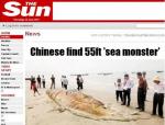 중국 바다 괴물 등장 '몸길이 17m에 무게만 4.5톤'