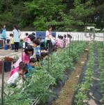 강북구, ‘마을공동체 도시농업 지원사업’ 실시