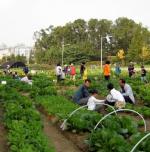 강동구, 도시농업 참여자 대상 영농교육