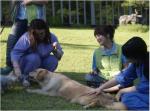 힐리언스 선마을, 반려동물과의 교감을 통한 다양한 치유활동 나서