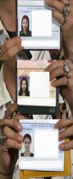 손담비 여권사진 공개 "미모만큼이나 일관된 화난 표정"