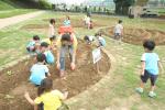 구로구, 어린이 농작물 수확 체험행사 개최