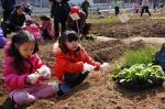 강동구, 서울에서 도시농업하기 가장 좋은곳?