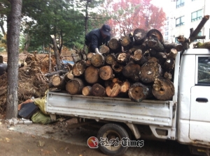 강북구, 폐목재 ‘땔감나눔 사업’ 시행