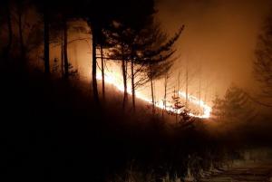 ‘삼척 산불’ 헬기 22대 투입 진화.. 32ha 산림 소실