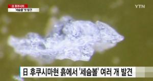 "세슘볼 발견됐다"…후쿠시마 강에서 지난해 발견, '日 최근 보도'