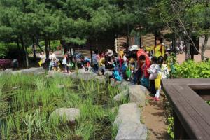 마포구, 자연생태체험…“아이들이 참여하기 좋은  동·식물 관찰 기회”