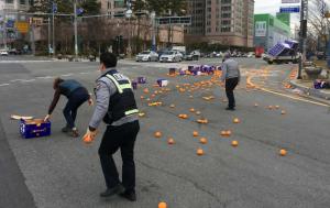 오렌지 20여 박스 도로에 쏟아져.. 경찰관 20 여명 현장 출동