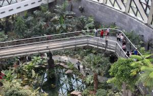 가위바위보 게임 져 식물원 호수 들어간 고등학생 사망