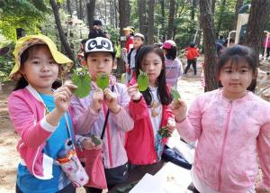 광주 남구, 생태문화 탐방 프로그램 ‘숲에서 休’ 운영