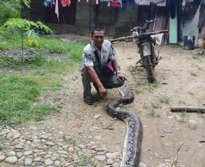아내 휘감은 6m 뱀과 사투 벌인 인도네시아 남성 화제