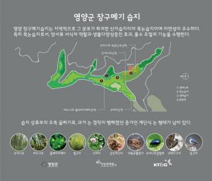 KT&G, 국립생태원과 ‘장구메기 습지’ 보존 공사 완료