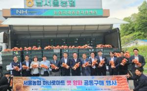 서울농협 하나로마트, ‘물가안정’ 농산물 공동판매... ‘양파 30% 저렴’