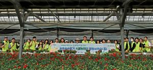 서울농협, ‘5월 가정의달’ 카네이션 출하 농가 일손돕기